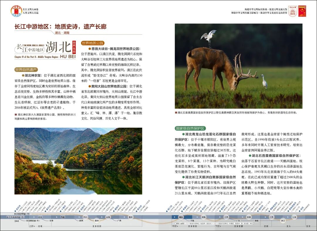 6205345905_d59a564256-160x160
